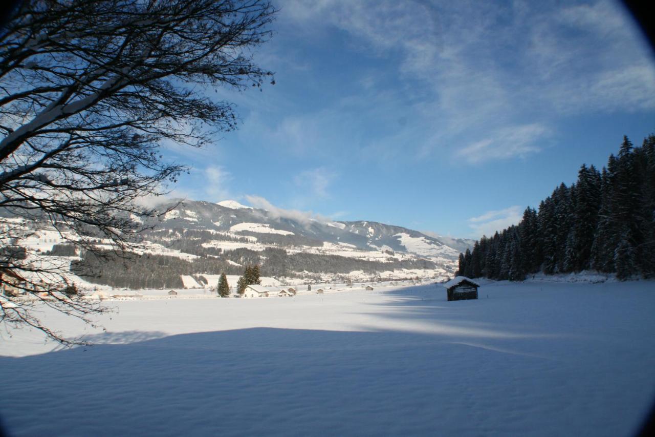 Oase Der Ruhe Apartment Hollersbach im Pinzgau Exterior foto